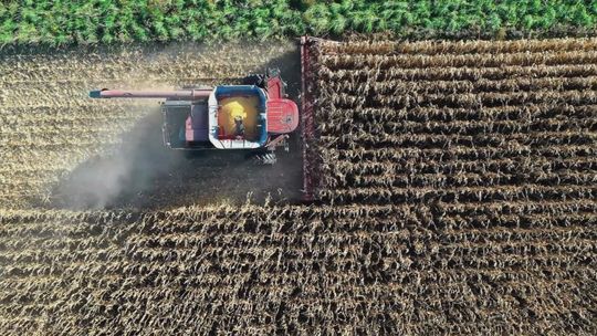 ARiMR analizuje problemy rolników, proponując rozwiązania