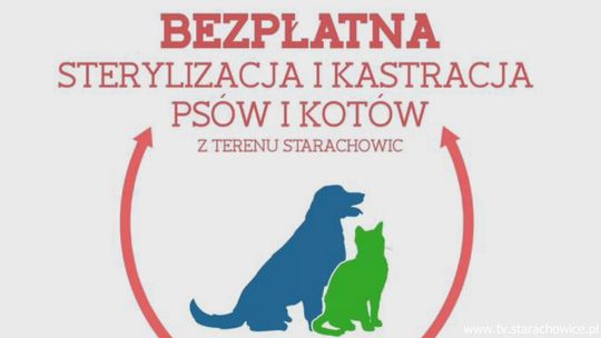 Będą bezpłatne sterylizacje i kastracje