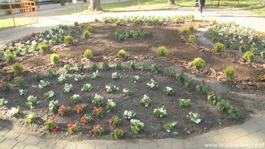 Bezinteresowna praca firmy na rzecz Domu Pomocy Społecznej