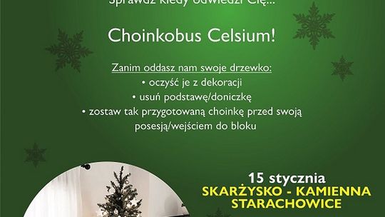 Celsium zbiera 'poświąteczne' choinki i odzyskuje świąteczną eko-energię!