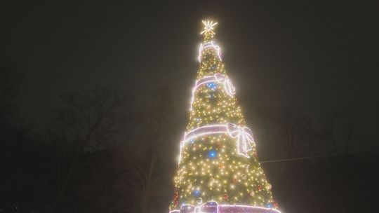 Choinka i iluminacje świąteczne błyszczą w Parku Miejskim