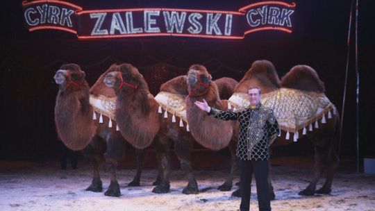 Cyrk Zalewski już jutro – rozdajemy bilety