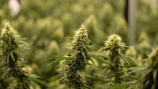 Czym jest Moon Rock?