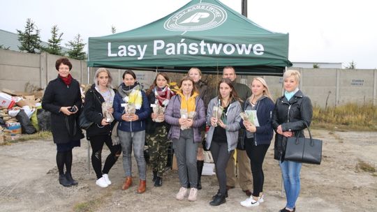 Drzewka za makulaturę rozdane