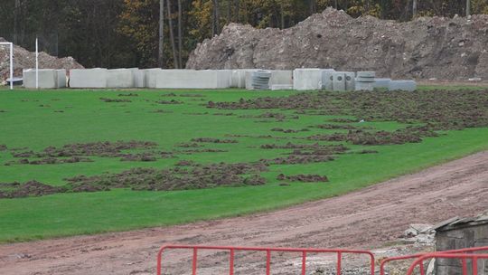 Dziki zryły płytę boiska głównego na Stadionie Miejskim w Starachowicach