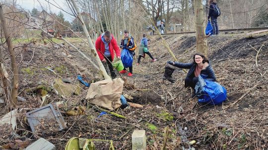 Eko wyzwanie Starostwa Powiatowego w Starachowicach