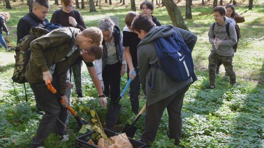 Ekologia trafia do szkół podstawowych