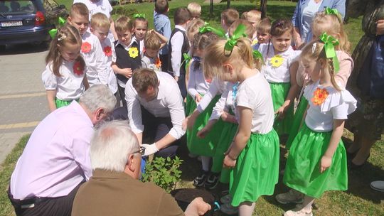 Ekologiczna akcja w PM nr 7