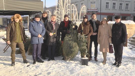 „Energetyczne drzewko” na Placu Artystów