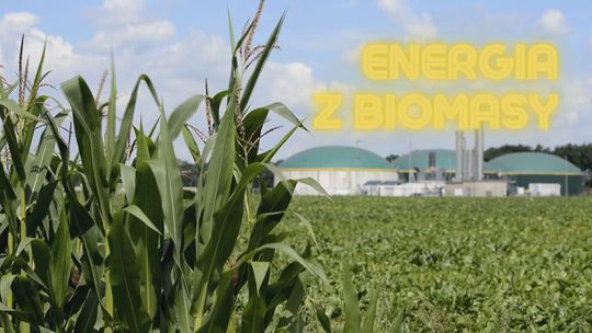 Energia z biomasy