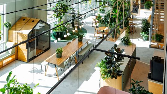 Funkcjonalne biuro od projektu po wyposażenie