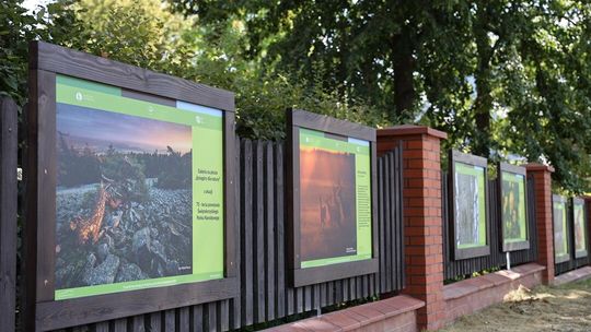 Galeria na płocie – „Łysogóry dla natury”