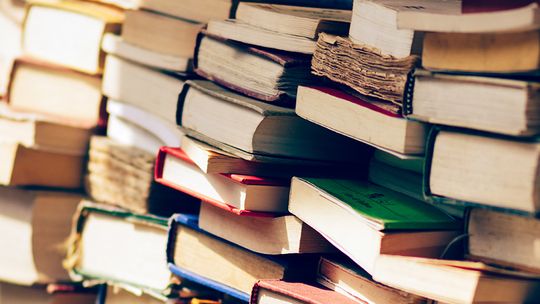 Gdzie może pracować introwertyk?