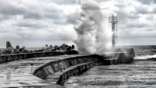 Goniąc marzenia – wernisaż fotografii Anny Wiączek