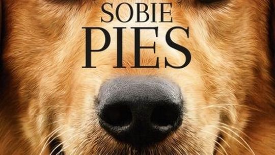 Helios Starachowice zaprasza na  BYŁ SOBIE PIES