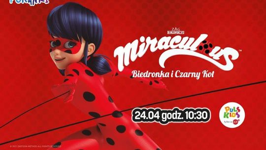 Helios Starachowice zaprasza na Miraculum: Biedronka i Czarny Kot, cz. 1