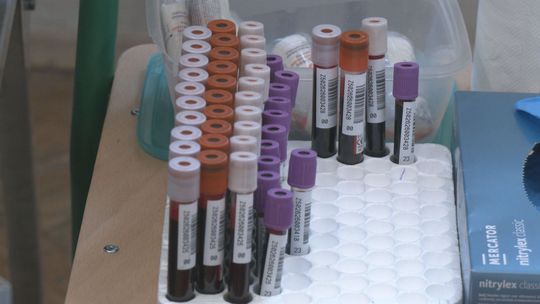 Honorowe Krwiodawstwo w Zespole Szkół Zawodowych nr 2 w Starachowicach