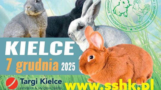 I Świętokrzyskie Święto Królika – lokalne produkty i wielka zabawa