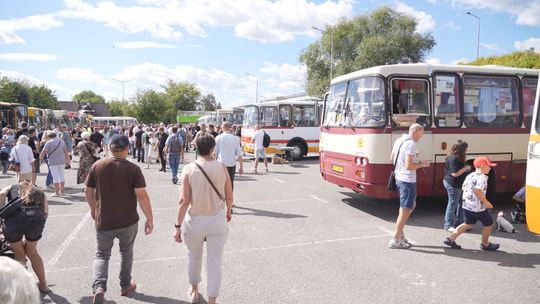 III Zlot Autobusów Zabytkowych. Starodawna motoryzacja woziła mieszkańców Starachowic
