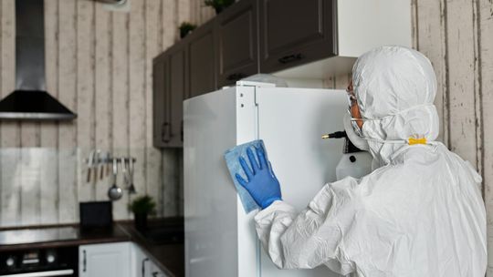 Jak skutecznie zwalczać szkodniki w przemyśle spożywczym?