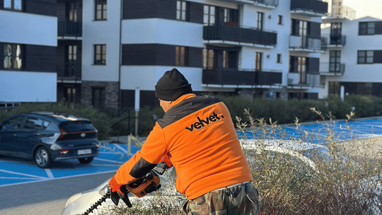 Jesienne przycinanie krzewów i pielęgnacja zieleni – jak profesjonalna firma dba o estetykę osiedli