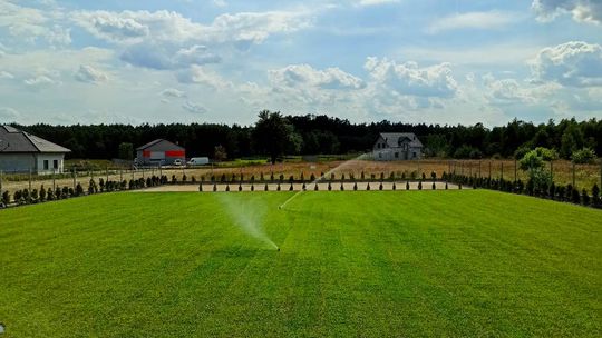 Kiedy sadzić trawę w rolce?