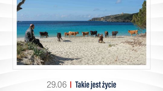 Kino Konesera - “TAKIE JEST ŻYCIE ”