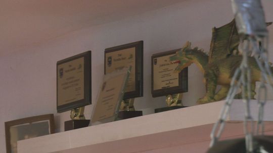 Klub Sportów Walki Dragon ze Starachowic ze startami w MMA