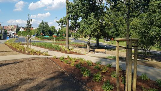 Konsultacje społeczne w sprawie nadania imienia skwerowi u zbiegu ulic Radomskiej i 1 Maja