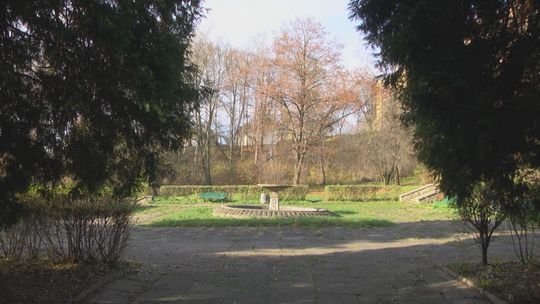 Korzystne oferty na odnowę skweru przy Parku Kultury