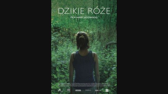 Kultura Dostępna – DZIKIE RÓŻE