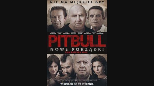 Kultura Dostępna - Pitbull