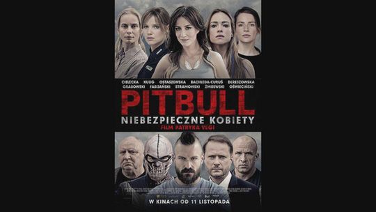 Kultura Dostępna – PITBULL, NIEBEZPIECZNE KOBIETY
