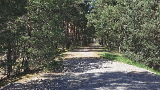 Lepszy dojazd od Harcówki oraz ciąg spacerowy wokół Lubianki- czy to możliwe?