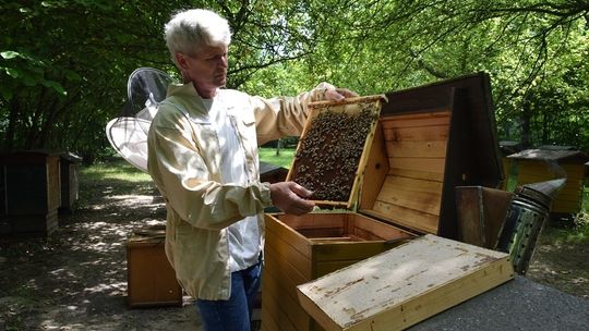Mamy kolejny produkt tradycyjny w gminie Mirzec!