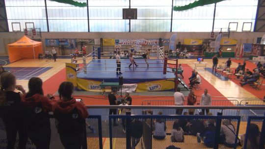 Mateusz Gunia mistrzem formuły low kick