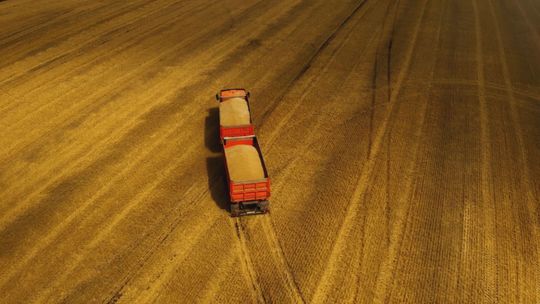 Ministerstwo Rolnictwa i Rozwoju Wsi we współpracy z ARiMR pracuje nad ustawami dla rolników