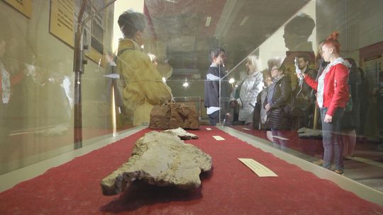 Muzeum zaprasza na wystawę „Odnalezione tropy”