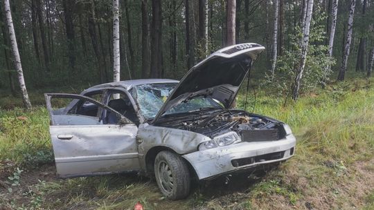 Na prostej wjechał do rowu i zniszczył samochód. Kierowca posiadał prawo jazdy od 2 dni