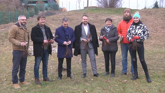 Na terenie Starachowic powstanie miejska winnica