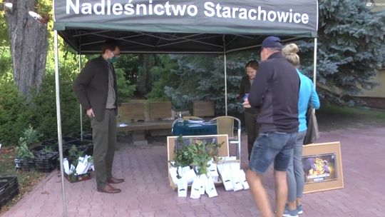 Nadleśnictwo Starachowice rozda sadzonki drzew