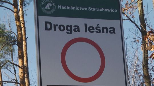 Nielegalne wjazdy quadami i crossami do lasu