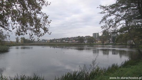 Nietypowa metoda zbierania opinii o zagospodarowaniu zalewu „Pasternik”