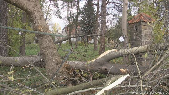 Orkan Grzegorz na razie nie spowodował u nas większych szkód