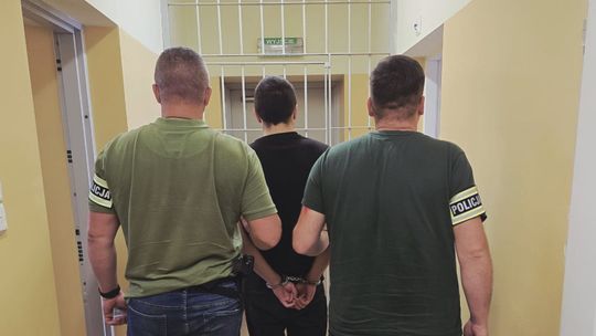 Oszukali seniorkę metodą „na wypadek”. Dwóch mężczyzn trafiło do aresztu