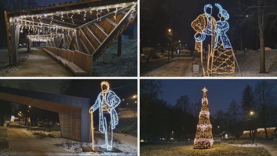 Park miejski w świątecznej szacie