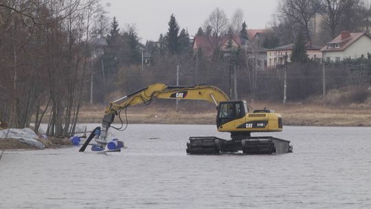Pierwsze efekty czyszczenia Pasternika