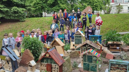 PM nr 15 w akcji budowy domków dla owadów 