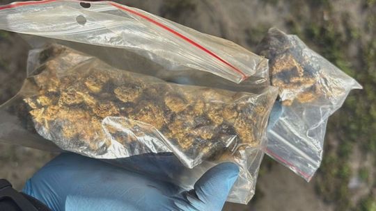 Policjanci z Wydziału Kryminalnego z kolejnym sukcesem. Znalezione zostało ponad 12 kg narkotyków