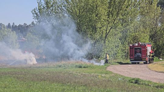 Pożar traw przy galerii handlowej w Starachowicach. Strażacy ostrzegają!